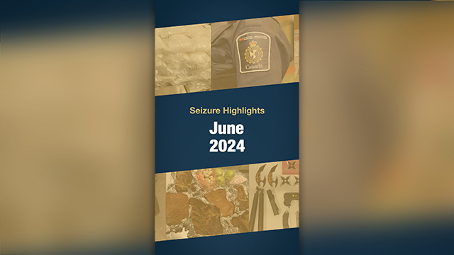 Seizures highlights for the month of June